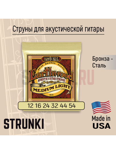 Струны для акустической гитары Ernie Ball 2003 Earthwood 80-20 Bronze Medium Light 12-54