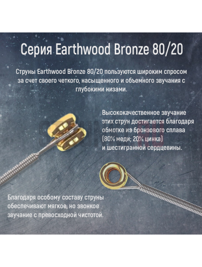 Струны для акустической гитары Ernie Ball 3003 Earthwood 80-20 Bronze Medium Light 3 Pack 12-54