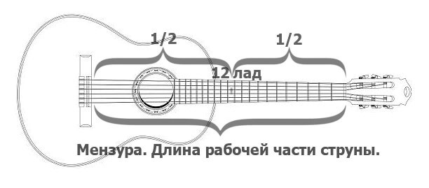 Мензура акустической гитары