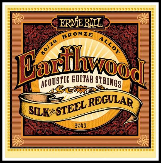 Ernie Ball Earthwood Silk & Steel